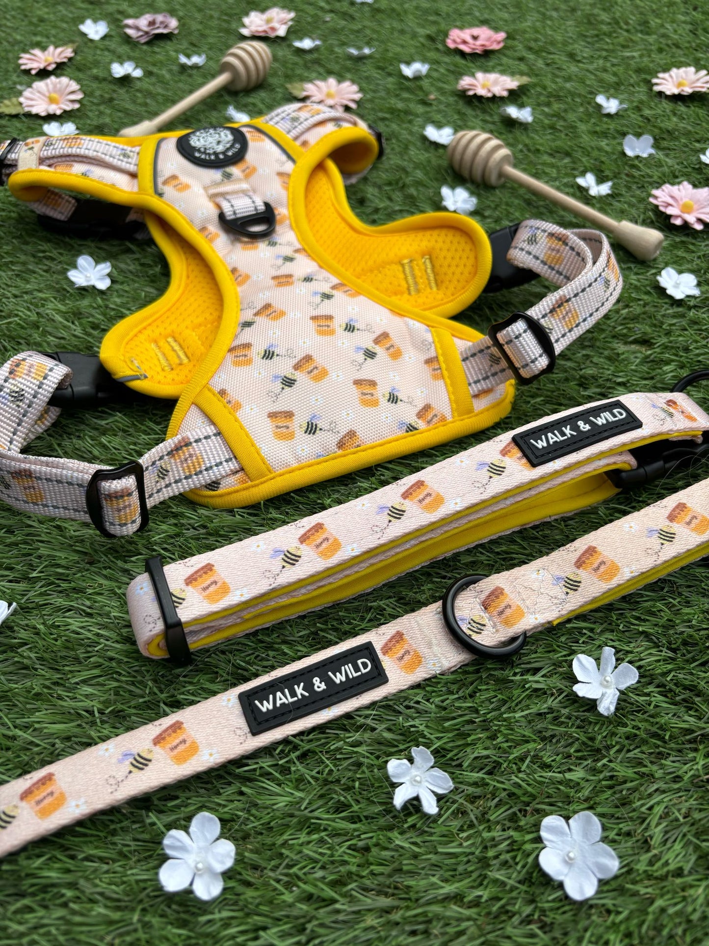 Sweet like Honey Explorer Harness