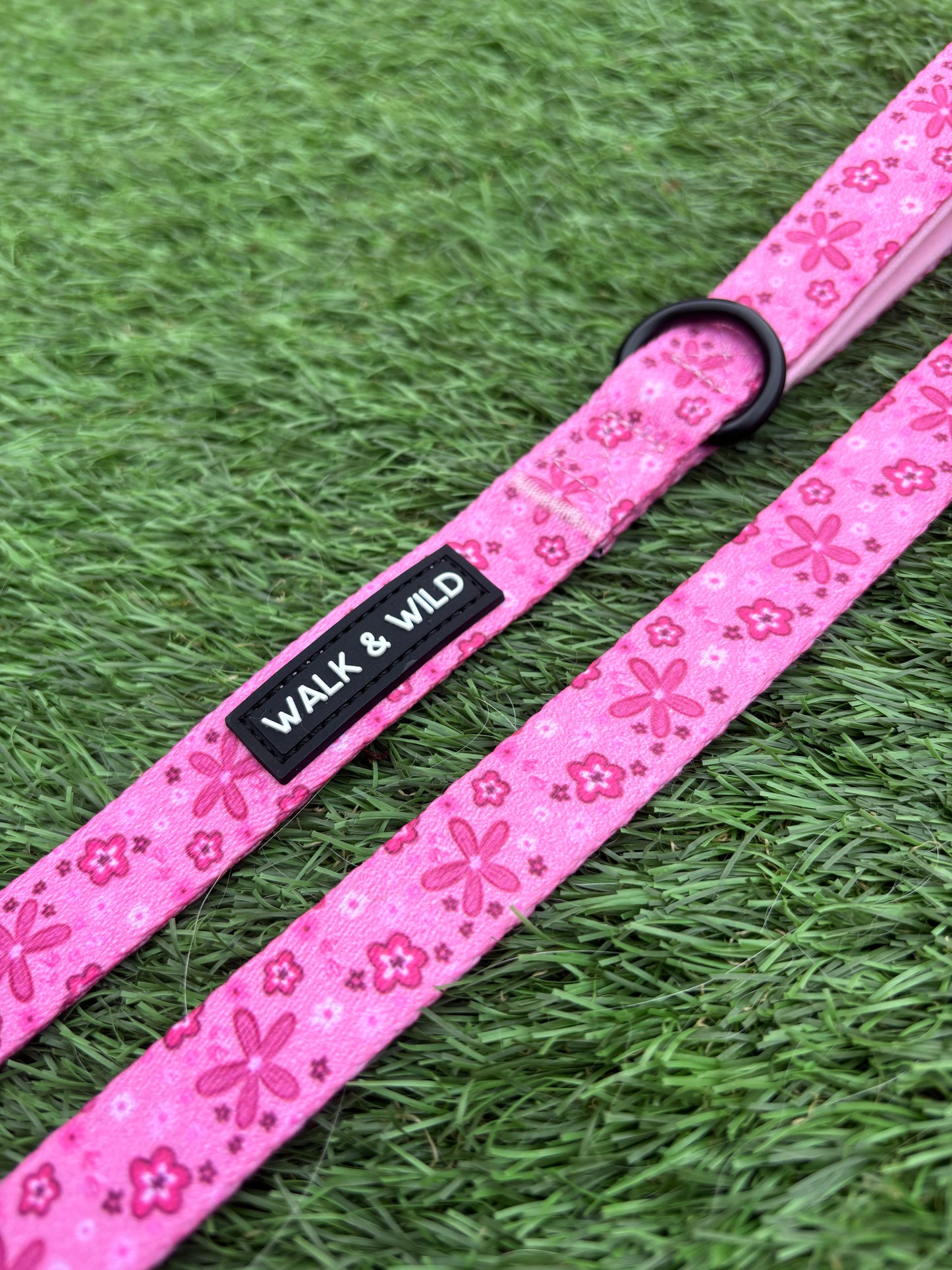 Pretty in Pink Lead