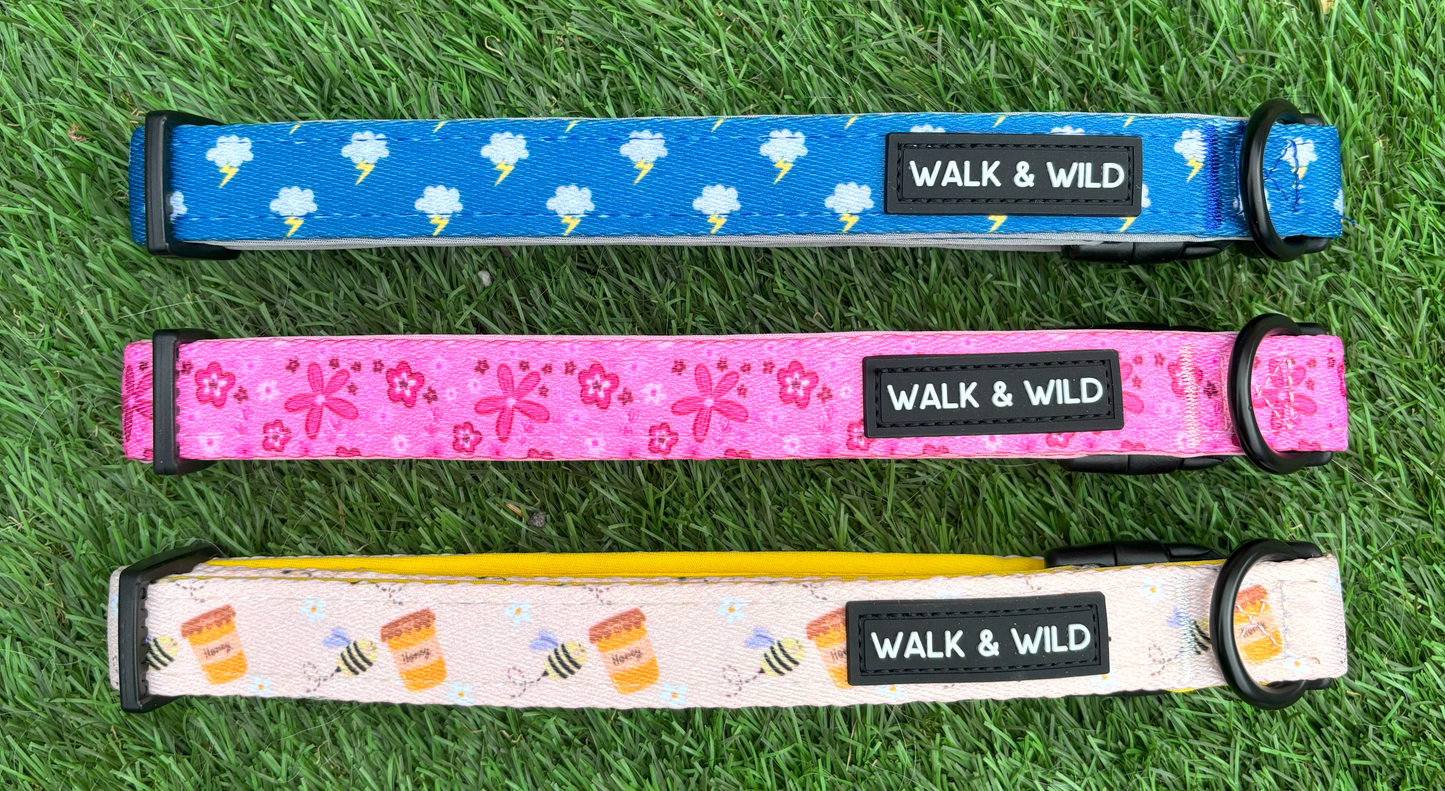 Lightning Bolt Collar