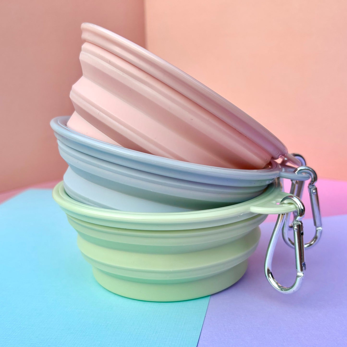 Collapsible Dog Bowl