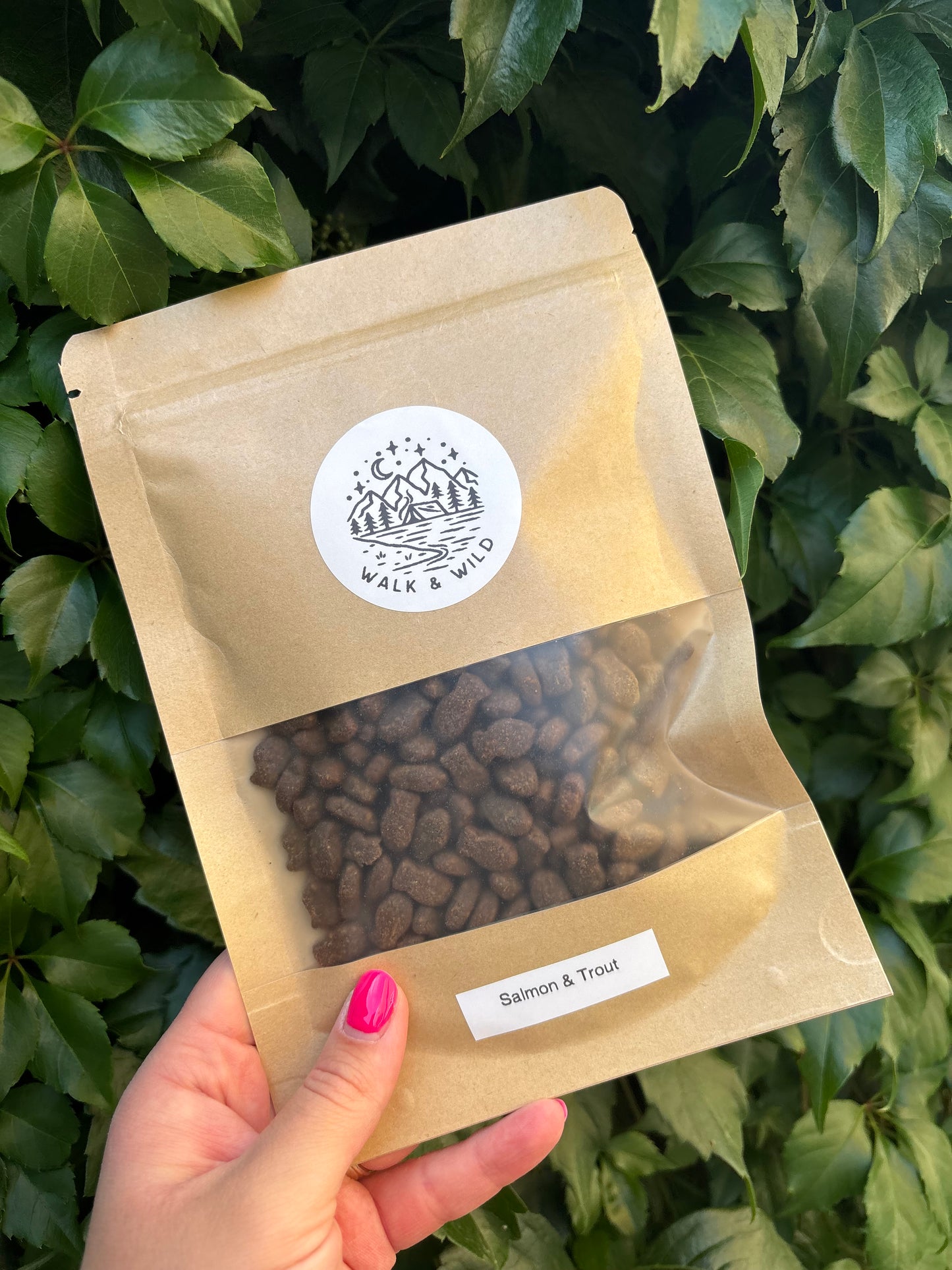 Salmon & Trout Dog Treats