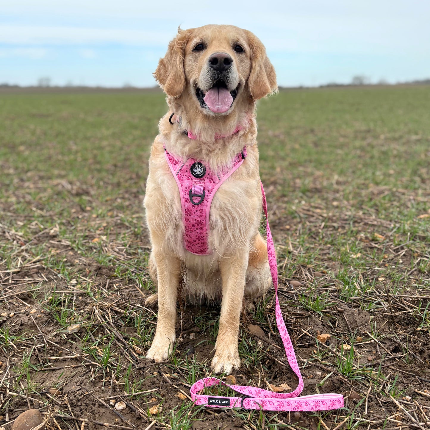 Pretty in Pink Explorer Harness