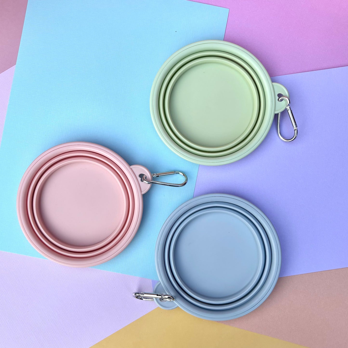 Collapsible Dog Bowl