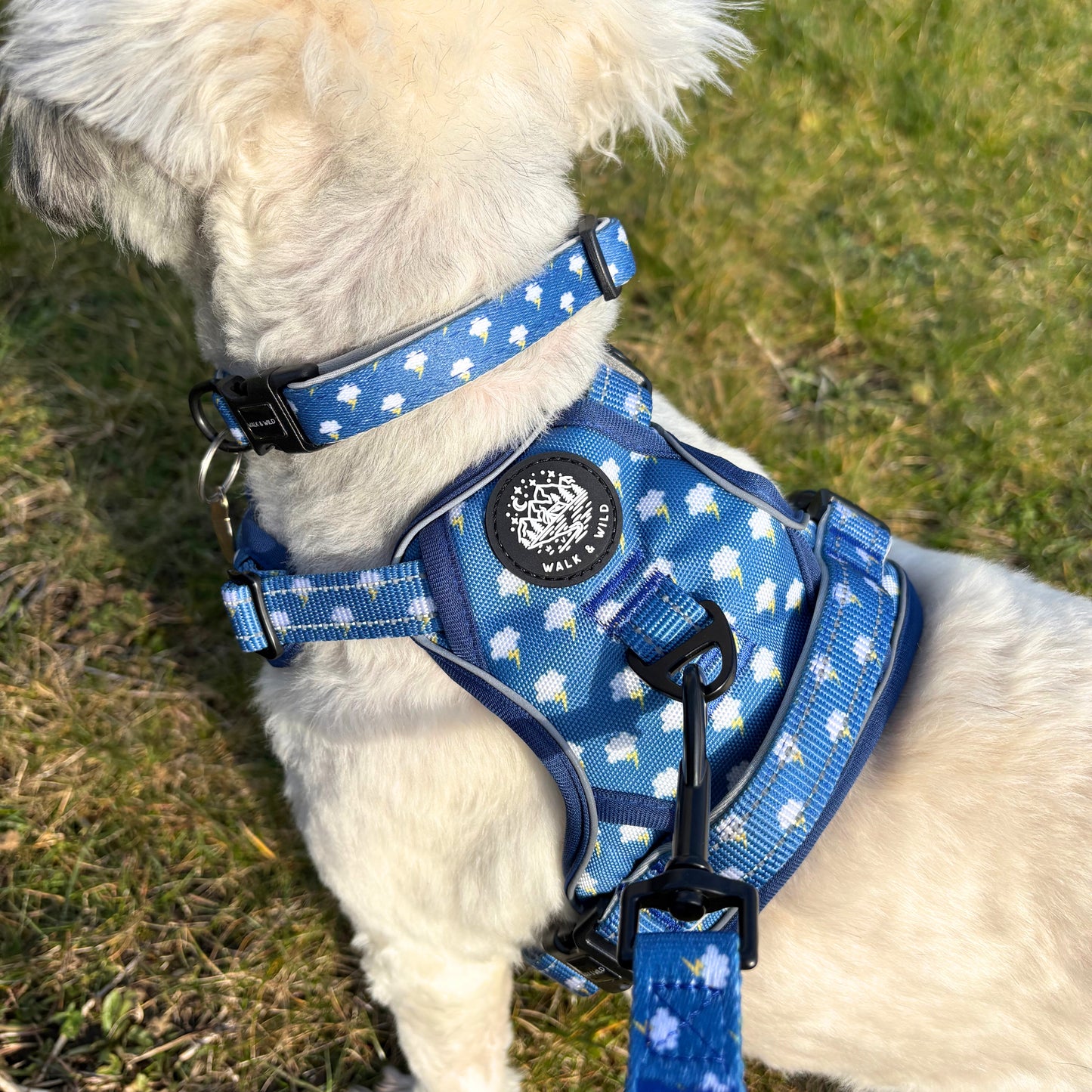 Lightning Bolts Explorer Harness
