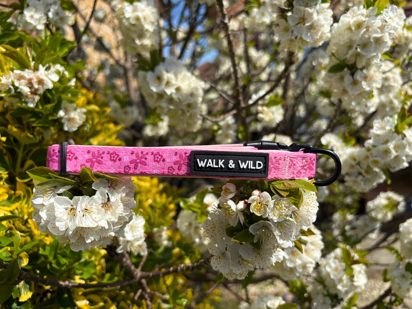 Pretty in Pink Collar