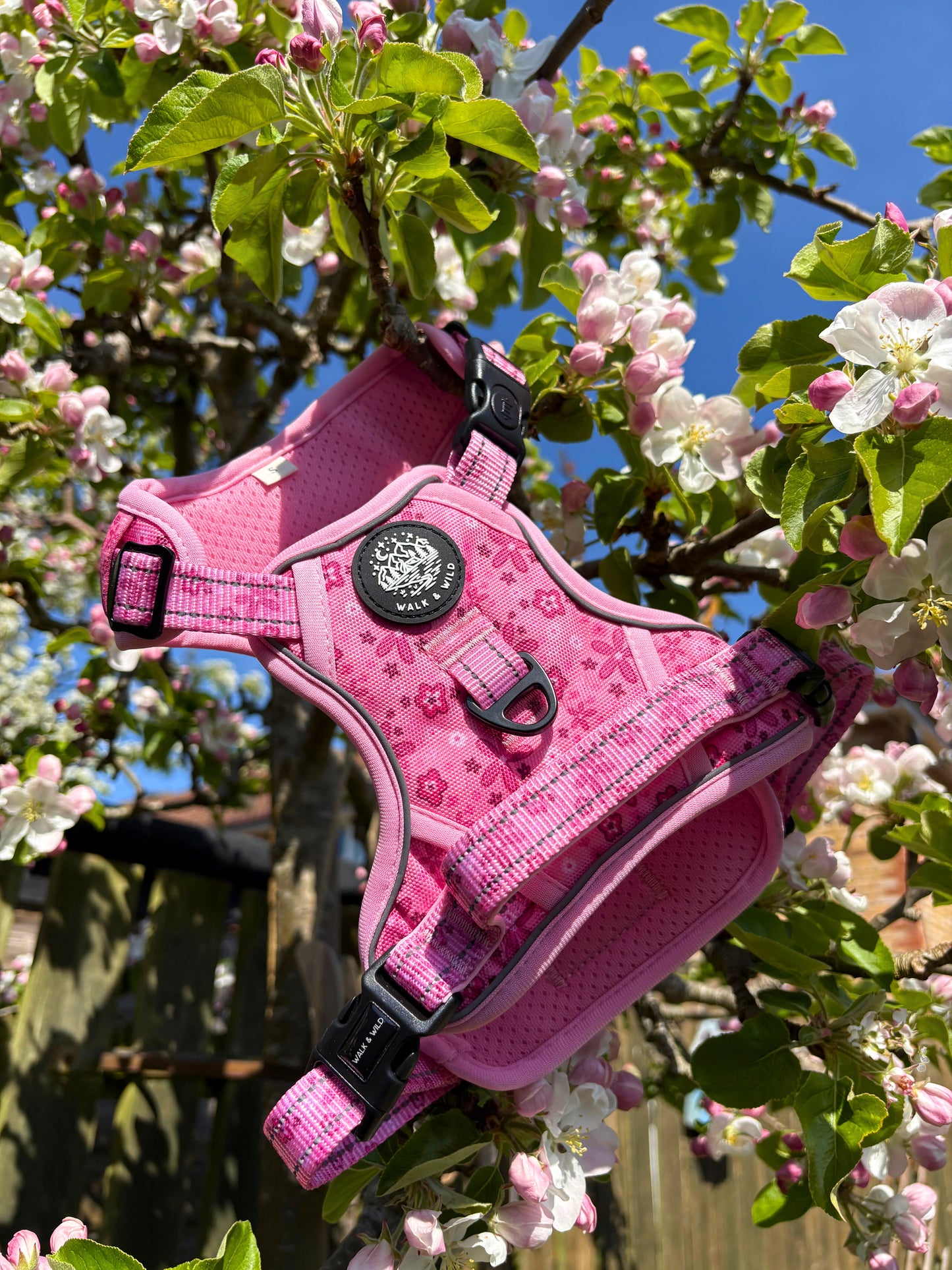 Pretty in Pink Explorer Harness