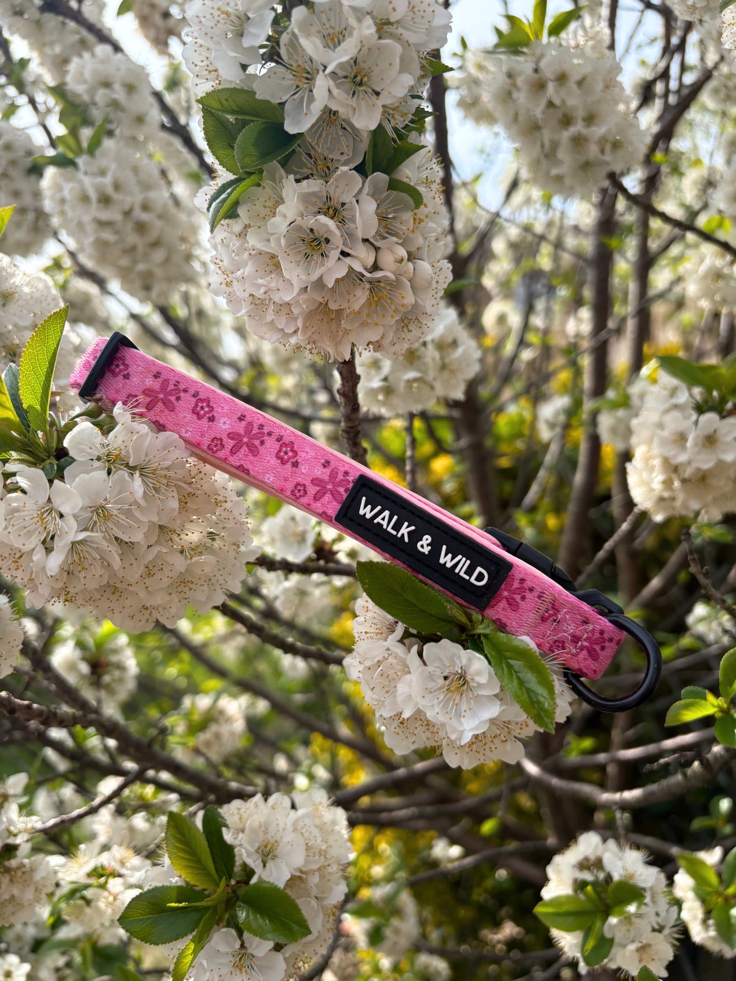 Pretty in Pink Collar