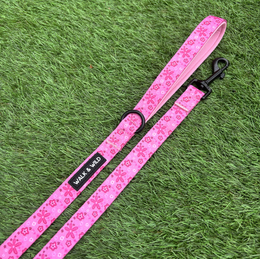 Pretty in Pink Lead