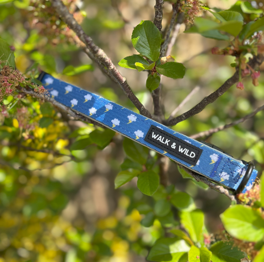 Lightning Bolt Collar