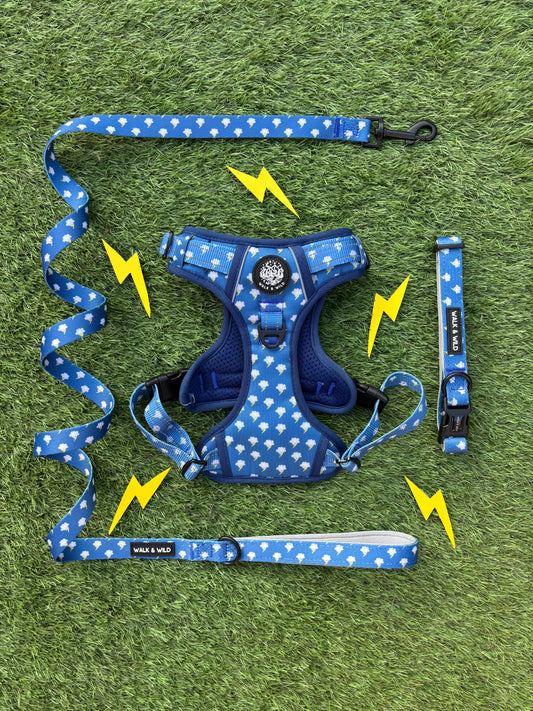 Lightning Bolt Bundle