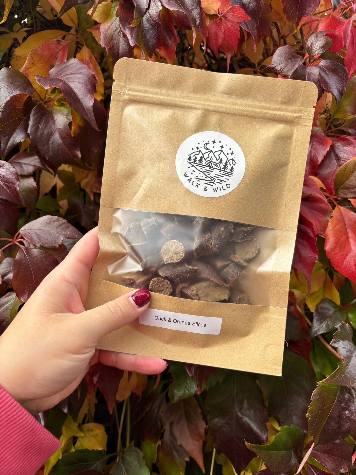 Duck & Orange Slices