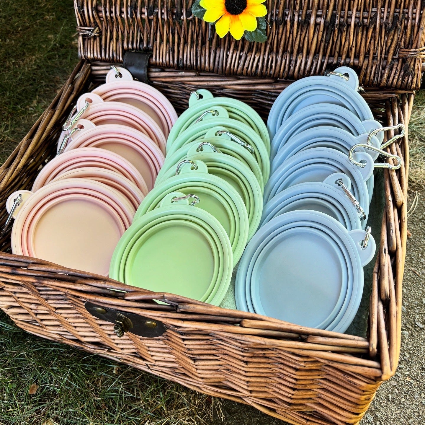 Collapsible Dog Bowl