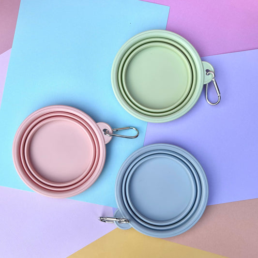 Collapsible Dog Bowl