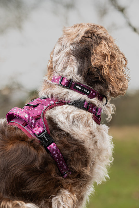 Berry Bliss Explorer Harness