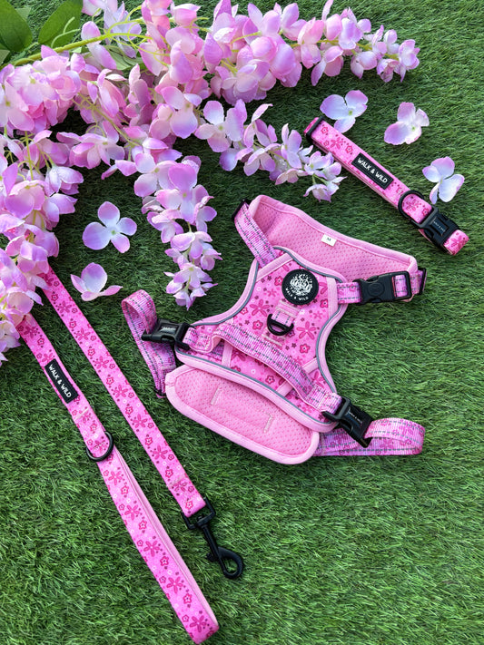 Pretty in Pink Bundle