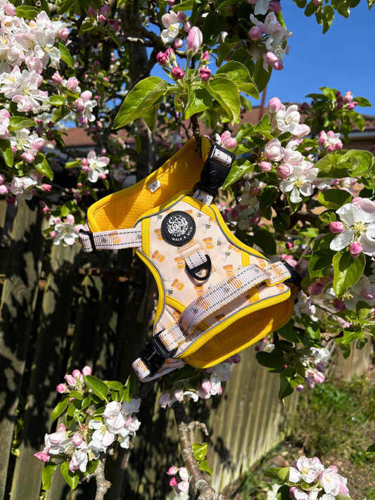 Sweet like Honey Explorer Harness